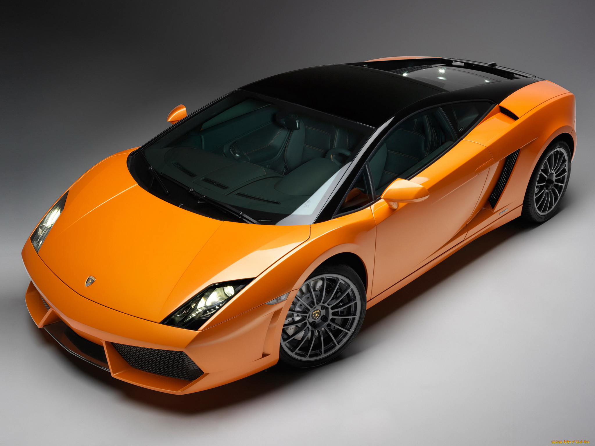 , lamborghini, gallardo, bicolore